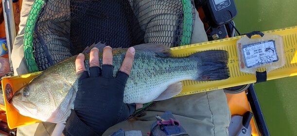 20210619_083043.jpg