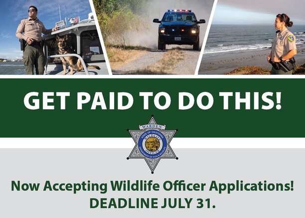 ca wildlife officer jobs hiring.jpg