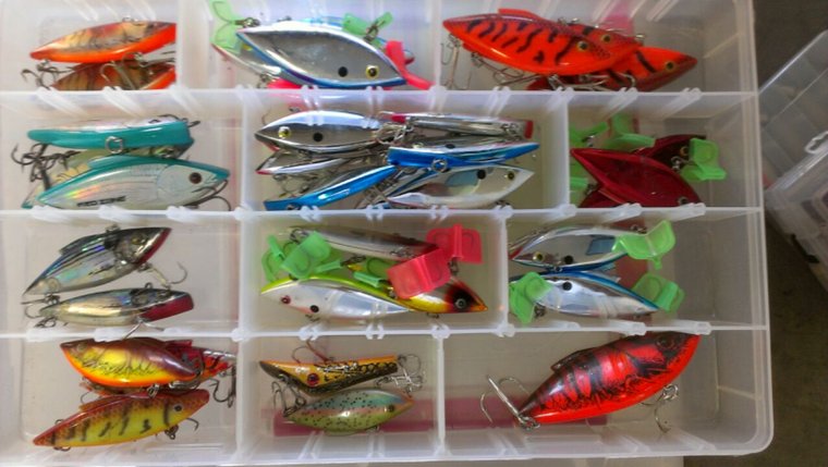 rattle traps2.jpg