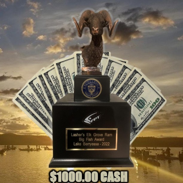 ONE FISH....ONE thousand dollars