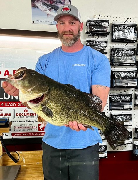 Teener Alert 14.82.jpg