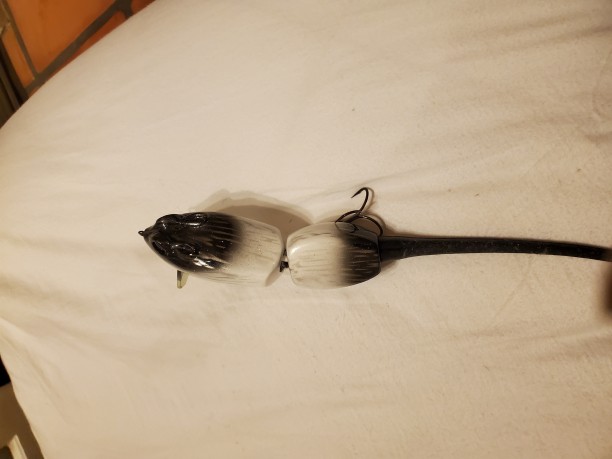 20220501_201010.jpg