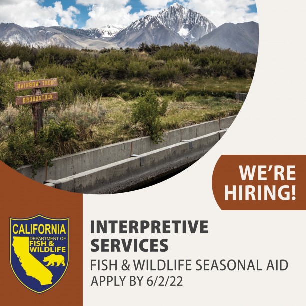 CDFW is Hiring Deadline June 2.jpg