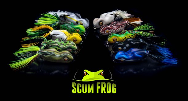 ScumFrogGallery.jpeg