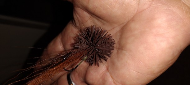 1/8oz football head  Brown fine/Brown bucktail