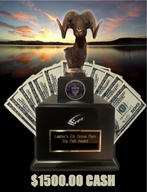 ONE big fish can net you $2,000 !