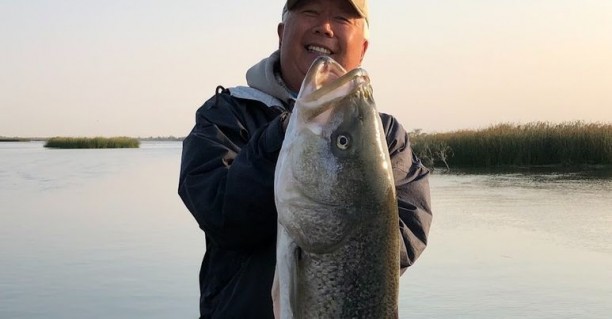 Fall Striper Fishing with Alan Fong.jpg