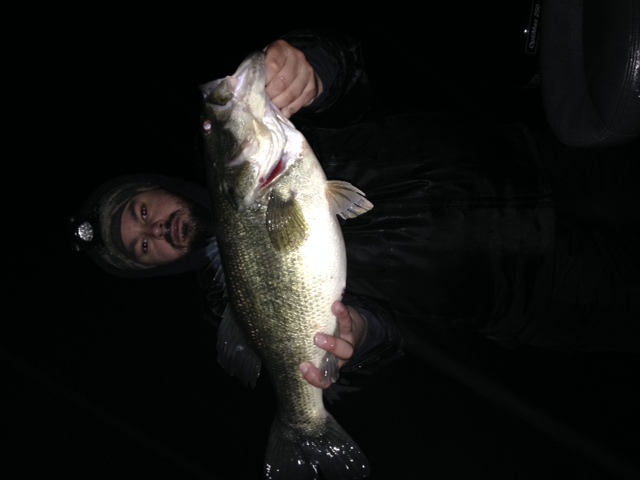 8 lbs 6 oz