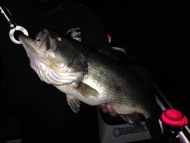 8 lb 14 oz