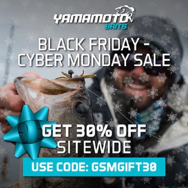 Get 30% OFF SITEWIDE when you shop now!.jpg