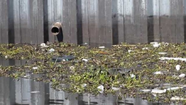 debris pileup along Delta raises concerns for Stockton resident.jpg