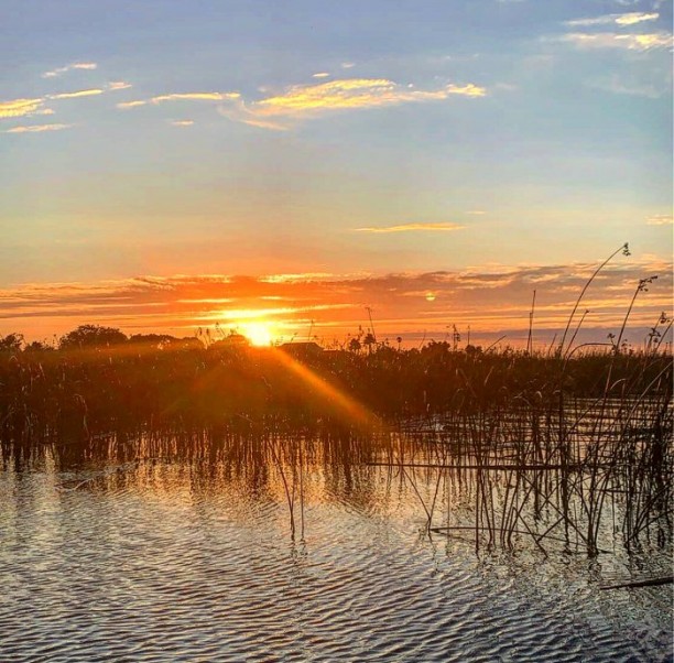 Evening time on the delta means BIG Fish...