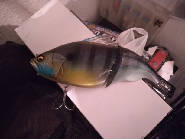 20230919_192012.jpg