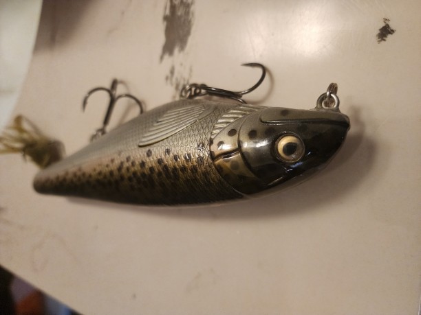 20231009_164704.jpg