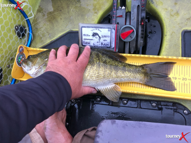 day 2 big fish toc.png