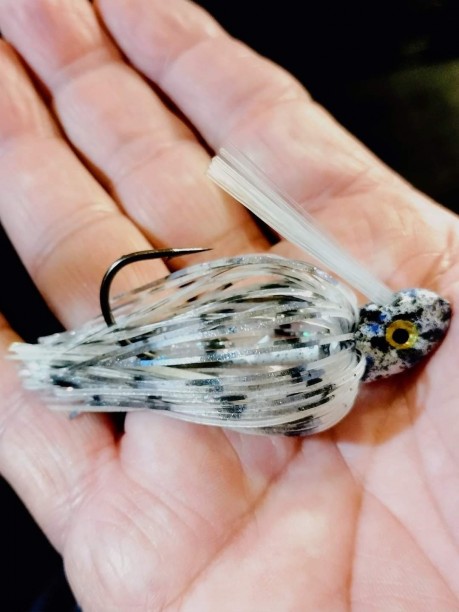 Louisiana gizzard shad for Big spotted bass