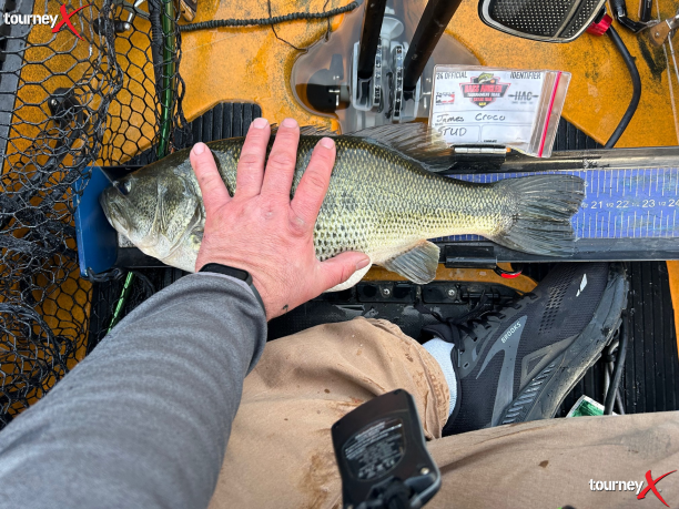 tullock big fish.png