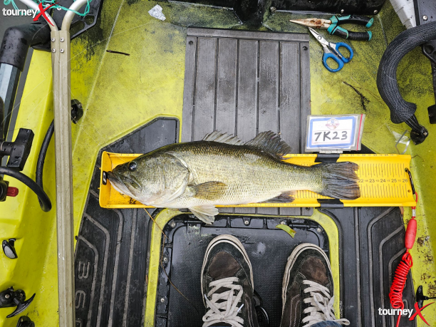 Jon big fish aba san v.png