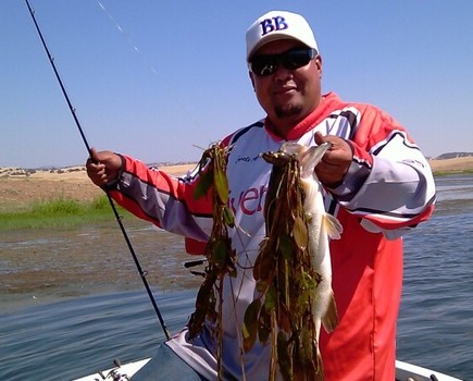 UFC10 angler Angelo Alorro will be counting on the &quot;Power Hours&quot; to use topwater frogs produced by GSM's &quot;Frog Factory&quot;, to win this year's Top-Frog &quot;Manufactuer's Cup&quot; Trophy.