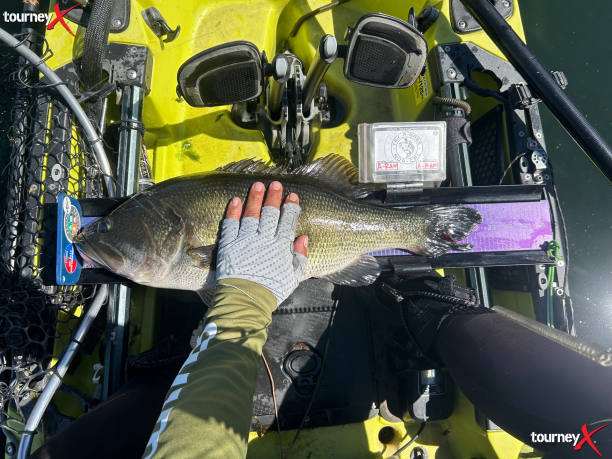 tulloch gamblers big fish.png