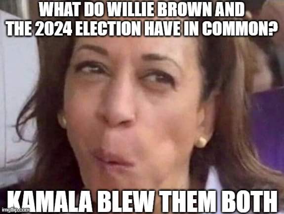 facebook_1731091960475_7260725934192129224.jpg