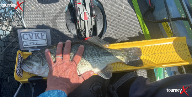 pine flat big fish 25.png