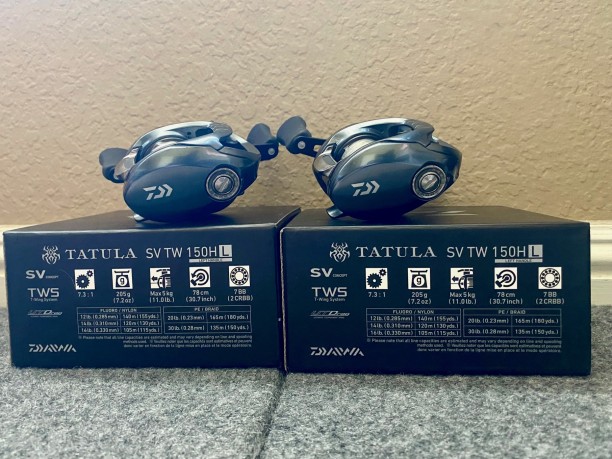 Tatula 1.jpg