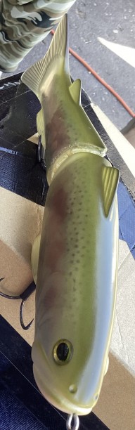 IMG_1668.jpeg