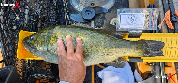delta team big fish 2025.png