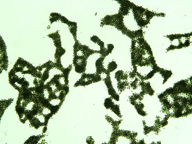 535137347_1264885135432896_357389652469811022_n.jpg