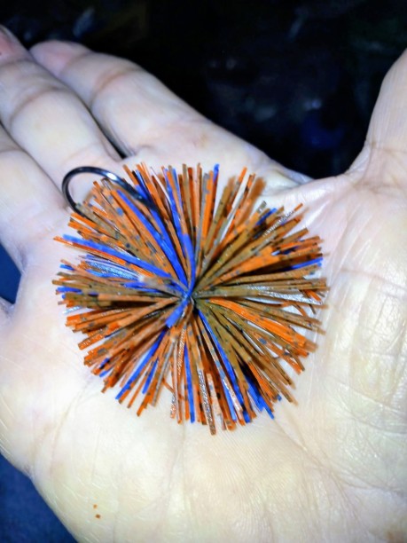 1/2oz. Viper head Pumpkin/burnt orange/blue