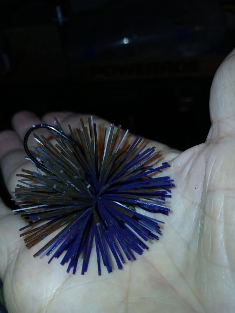 1/2oz  Viper head jig  Split color skirt Bro/Purple