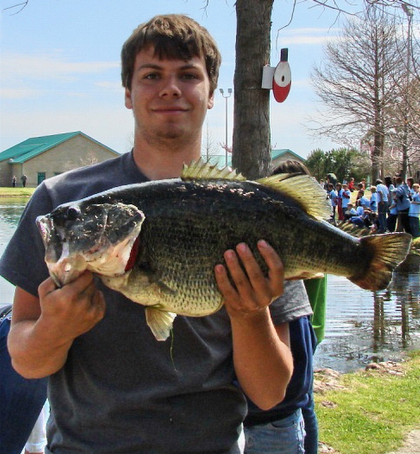 Considering Simplified Largemouth Bass Regulations Across the State