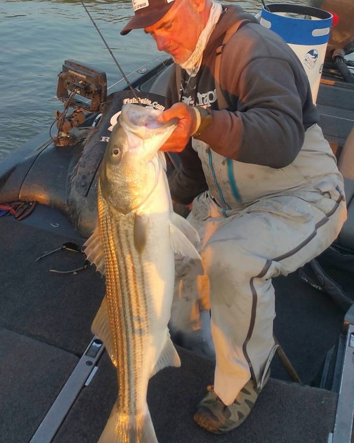 Comprehensive Delta Fishing Report September 29