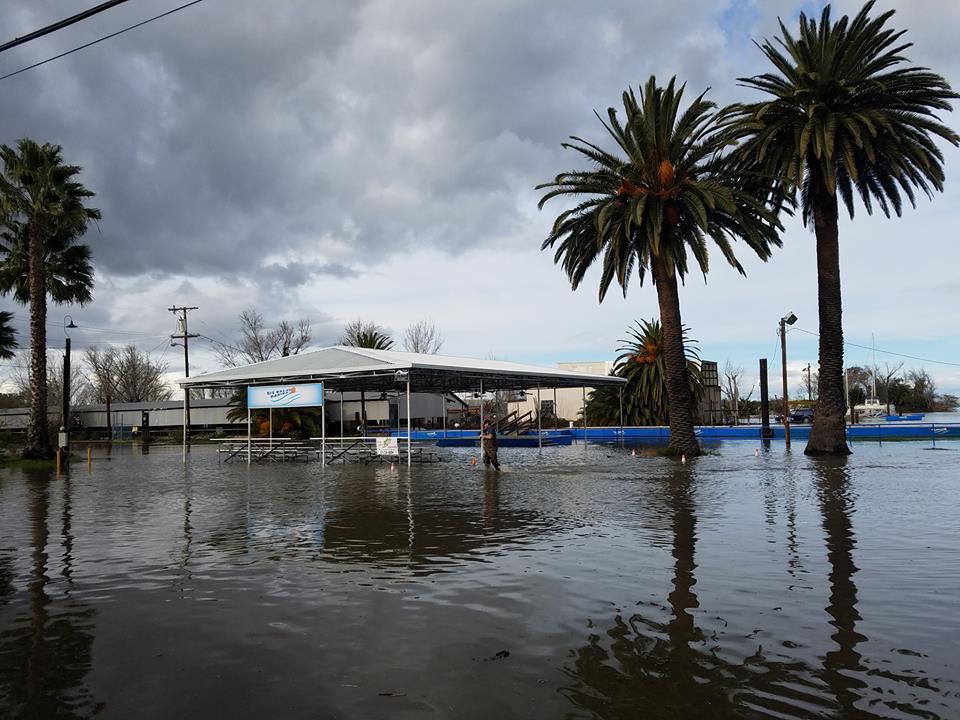 Comprehensive Delta Fishing Report | Update January 14 | Westernbass.com