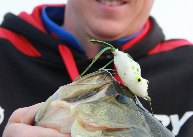 Bluegill on topwater frog? : r/Fishing