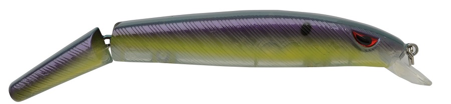 What's New from P-Line, Striper Lures, Fishing Tools, Nets and More
