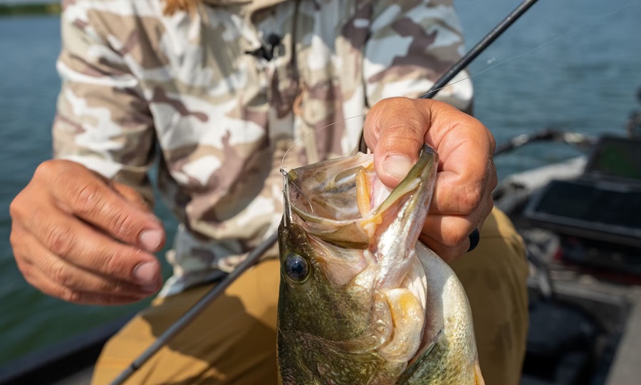 Winter Bass Fishing: The Neko Rig Technique (How To)