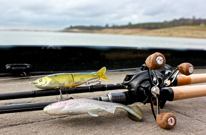 Cast, Commit, Catch  What you need to know for Swimbait Fishing