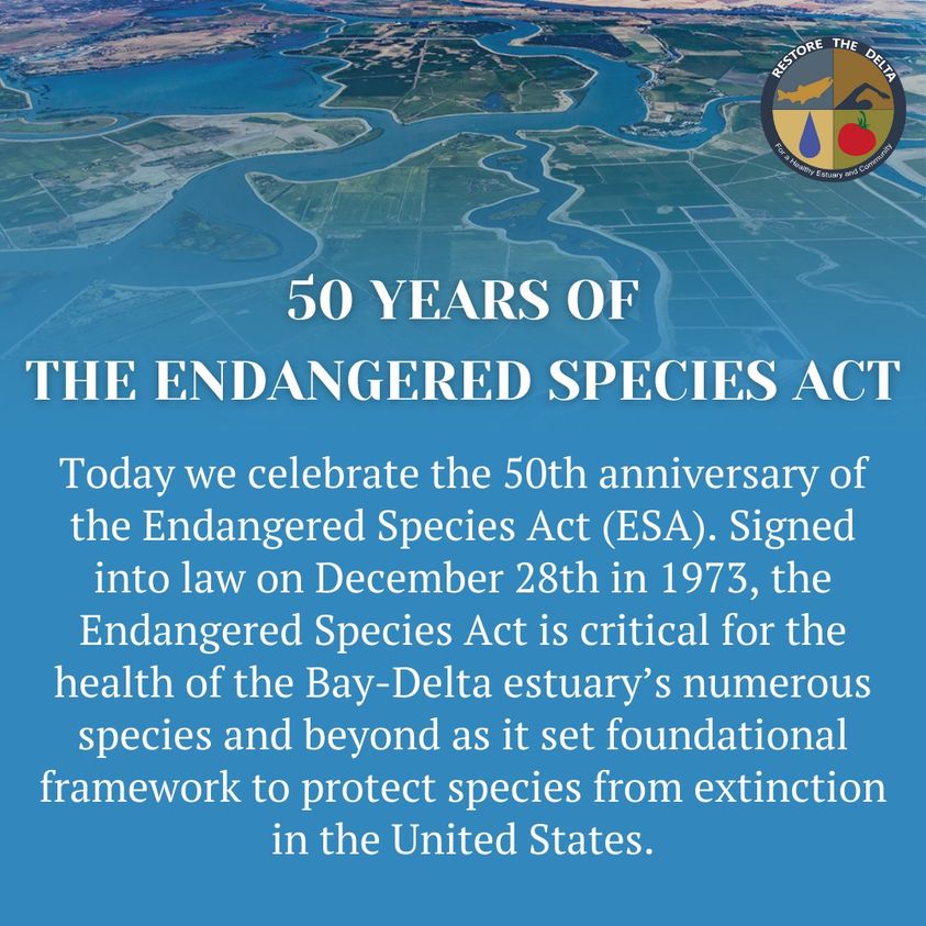 Endangered Species Act 1973