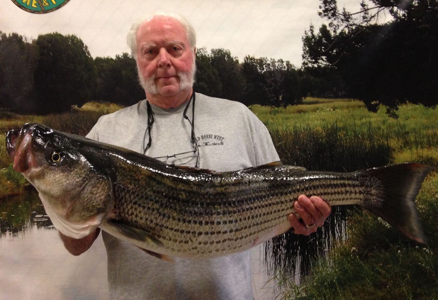 Striped bass lake pleasant clearance