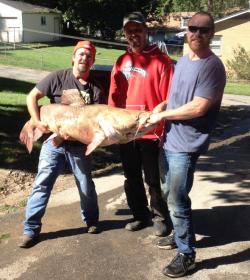 New Missouri Record for Alternative Method Flathead Catfish