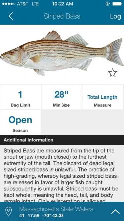 Free App Connects Anglers with Saltwater Fishing Regs