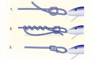 8 Fishing Knots to Know and Why