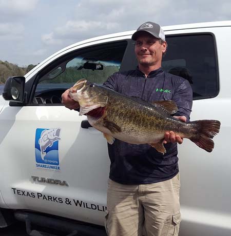 First 2017 Toyota ShareLunker collected at Marine Creek Lake