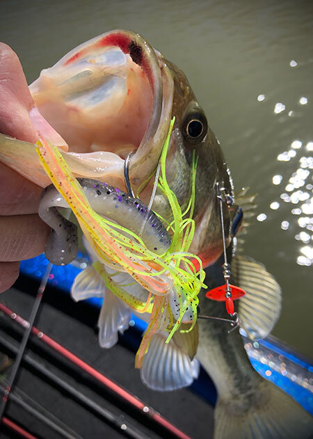 Attracting Pre-Spawner with Spinnerbait Trailers