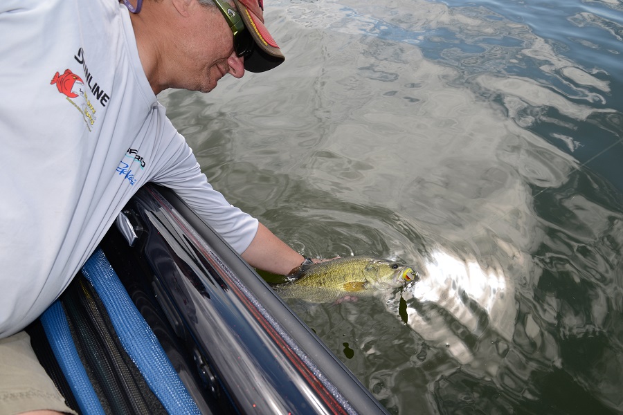 Maximize Your Late Fall Bass Fishing