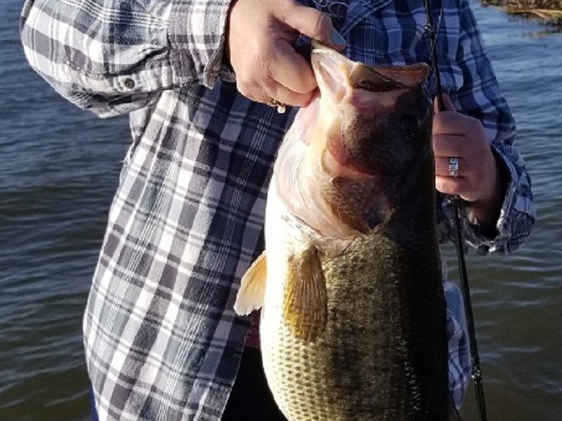 Comprehensive California Delta Fishing Report Spawn Action March 31