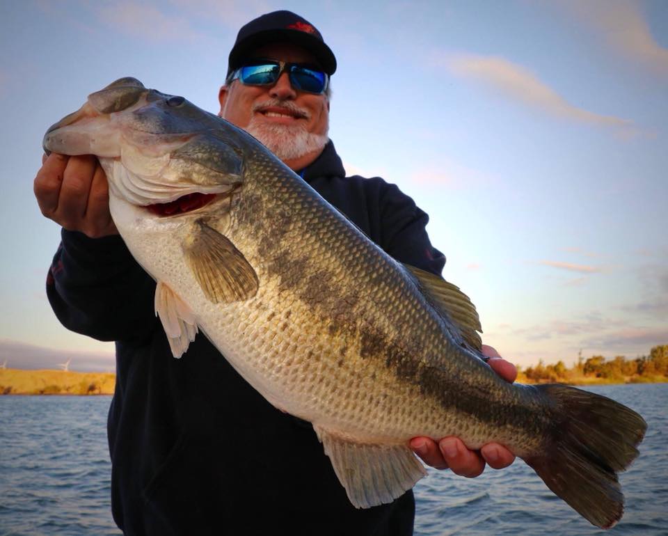 Comprehensive Delta Fishing Report Early Fall Update October 21