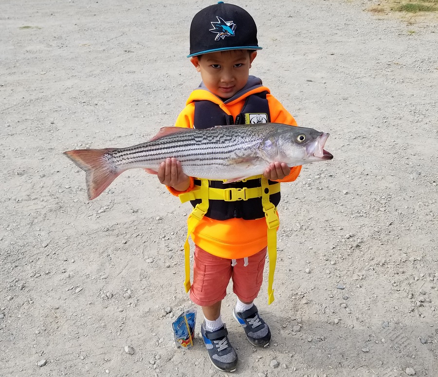 Comprehensive Delta Fishing Report | Finally Fall Update ...